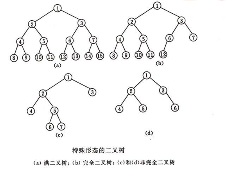 特殊二叉树形态