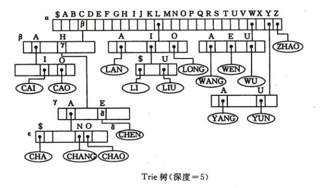 Trie 树示例