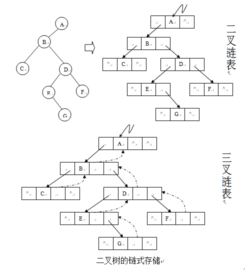 二叉链表和三叉链表