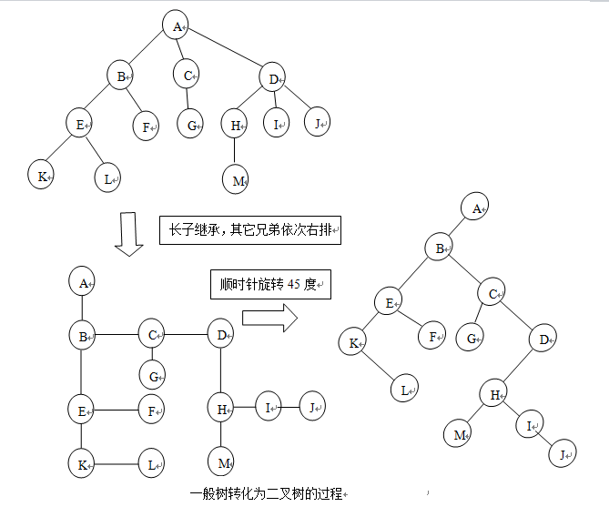 一般树转为二叉树