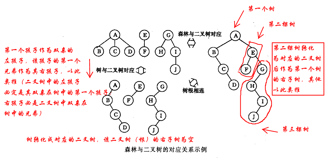 森林和二叉树