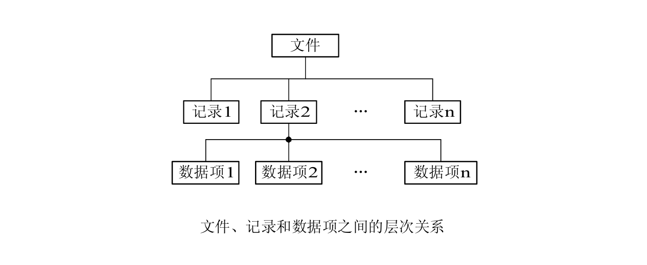 文件记录数据项关系