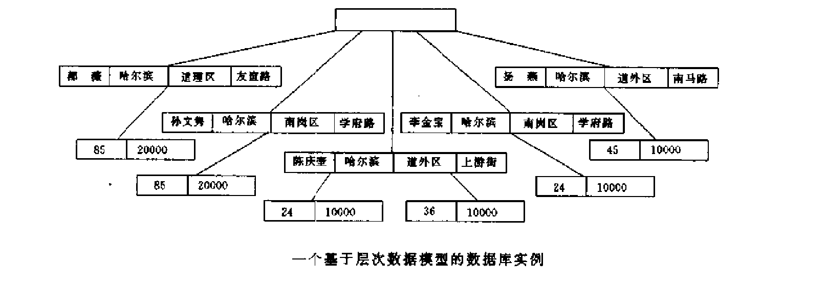 数据模型