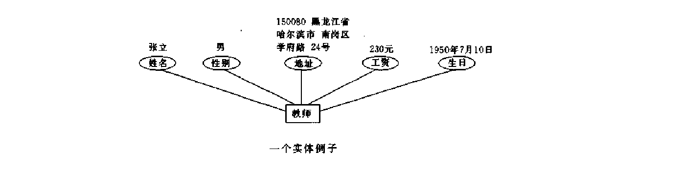 实体和属性