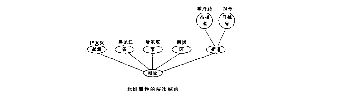 实体和属性