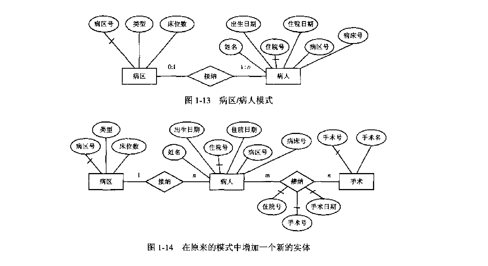 增加新实体或联系