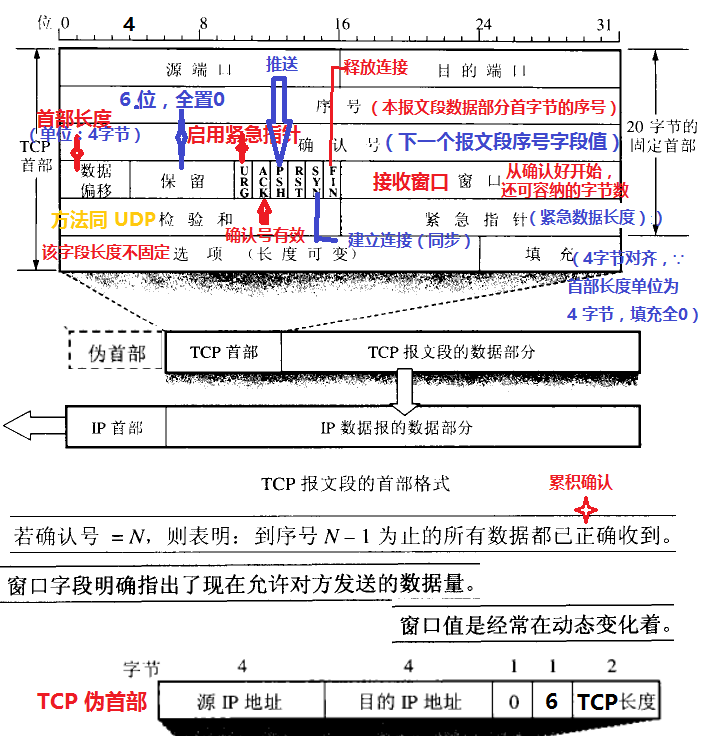 TCP 首部