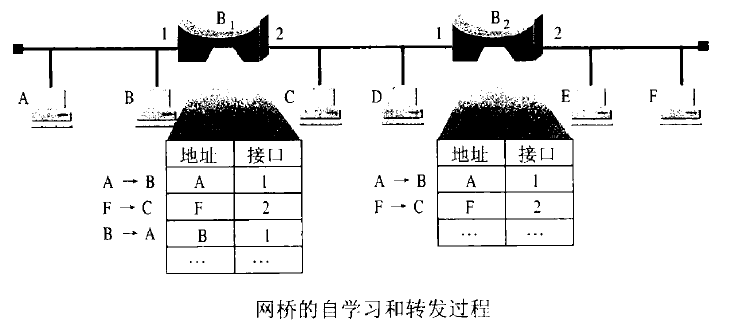 网桥自学习算法