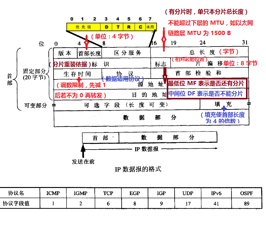 IP 数据报格式