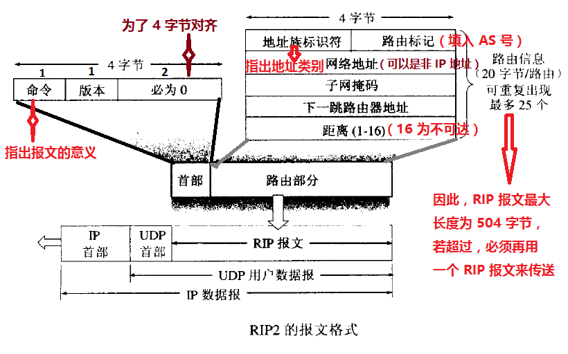 RIP 报文格式