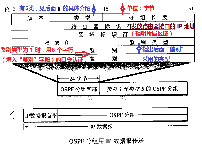 OSPF 报文格式