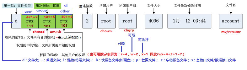 ls -l命令结果解读